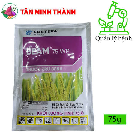 Beam® 75WP