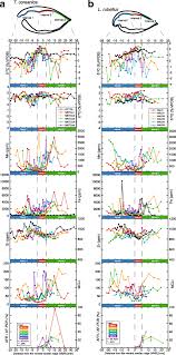 We did not find results for: The Effects Of Meteoric Diagenesis On The Geochemical Composition And Microstructure Of Pliocene Fossil Terebratalia Coreanica And Laqueus Rubellus Brachiopod Shells From Northeastern Japan Progress In Earth And Planetary Science
