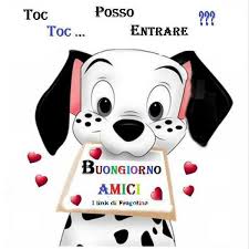 Buongiorno Buongiorno Immagini Buongiorno Buongiorno Divertente