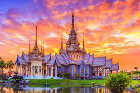 Cô nàng đầu bếp của tôi, lối rẽ con tim, nabi, tôi sẽ không yêu em, cô vợ bắt buộc, minh châu rực rỡ. Váº­n Chuyá»ƒn Tiá»ƒu Ngáº¡ch Hang Hoa Viá»‡t Nam Thai Lan Nhanh Chong