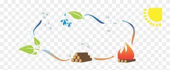Huge collection, amazing choice, 100+ million high quality, affordable rf and rm images. How Is Biomass Fuel A Green Source Of Energy Clipart 2400491 Pinclipart