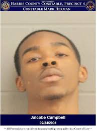 CONSTABLES NAB EVADING SUSPECTS! On May 29, 2025, deputies with Constable  Mark Herman's Office responded to the 5300 block of Dawnburst Drive in  reference to an in progress call where multiple male