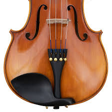 Image result for Viola eminii