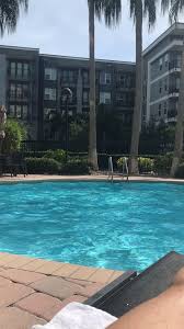 Poolside In Tampa Video In 2020 Natural Swimming Pool Adventure Travel Florida