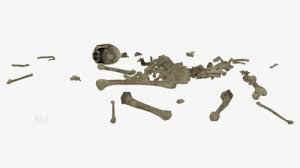 Draw short lines in various directions to create this effect. Transparent Pile Of Bones Png Png Download Transparent Png Image Pngitem