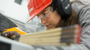 Bygg- och anläggningsprogrammet