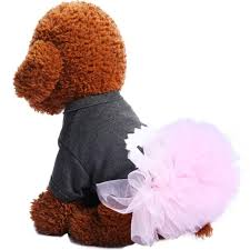 Pet Bubble Dress Ooeoo Lace Skirt Cute Dog Cat Clothes Puppy Ballet Fashion Costume