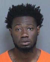 Laurens County deputies arrest 20 in warrant roundup