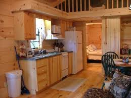 tiny cabin kitchen interior tiny