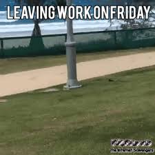 Download Meme Happy Friday Gif Funny Png Gif Base 1,716 likes · 6 talking about this. download meme happy friday gif funny