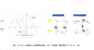5分でわかる オーキシン 植物の成長に欠かせない植物ホルモン 理系ライターがわかりやすく解説 Study Z ドラゴン桜と学ぶwebマガジン
