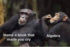 Who doesn't like a good laugh? 360 Monkeys Are Always Funny Ideas In 2021 Funny Monkeys Funny Funny Animals