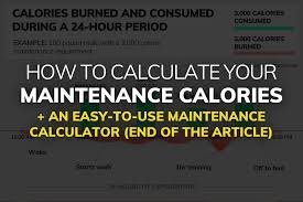 maintenance calorie calculator