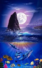 Discover amazing animals that live in the ocean. Molokai Dream Artist Jeff Wilkie Dolphin Art Seascapes Art Seascape Artists