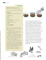 Mancil 1 solucionario malla curricular primaria 2019 mamiferos especies en peligro de extincion en ecuador malla curricular 2019 y 2020 maito comida de la amazonia maestra de preescolar para colorear infantil maestrias psicologia ecuador 2017 malla curricular mined nicaragua 2019. Que Es Un Ecosistema Libro De Ciencias Naturales 4 Grado