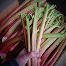 Answers to several frequently asked questions are provided below. Roughway Farm Online Fresh Produce Kent Cobnuts