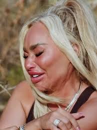 Darcy's Appearance and Behavior