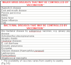 How do vaccines prevent disease? Vaccination The Pig Site
