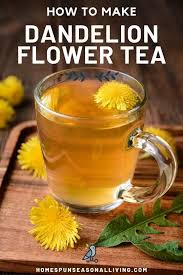 The central hollow stem yields the leaves that may be green or red. Dandelion Tea Recipe Homespun Seasonal Living