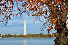 Thanksgiving is much more than carving a terrific turkey. Unseasonably Cold Weather For The East Coast On Thanksgiving Day Wtop