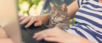 To draw using the scribble tool, click insert > shapes > scribble. How To Draw In Microsoft Word
