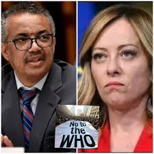 Kerrie Moran (@TessM1819)