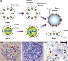 Check spelling or type a new query. Az5ppup4xpyaxm