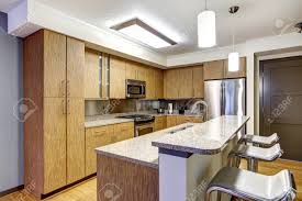 modern apartment. kitchen island