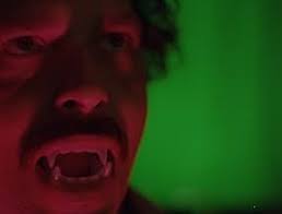 Naderworld: Kaleidoscopic Harmonics Resonating Beyond the Subconscious  (2024)