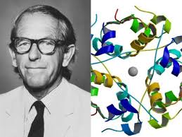 Pasado, presente y futuro del medicamento que revolucionó la historia de la  medicina