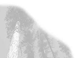 Deschutes Basin Land Trust