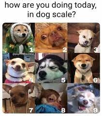 But if windows expects a file to be on drive d:, that's a problem. How Are You Doing Today In Dog Scale Lambert Eaton News Forums
