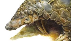 The pangolin is said to be the world's most trafficked mammal. The Art Of Saving Pangolins African Pangolin Working Group