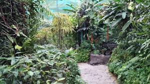 Zaidi jedai 253 views2 months ago. Mohd Faiz Bin Abdul Manan Taman Rama Rama Kuala Lumpur