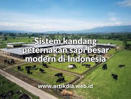 Sistem Kandang Peternakan Sapi Besar & Kunci Sukses ...