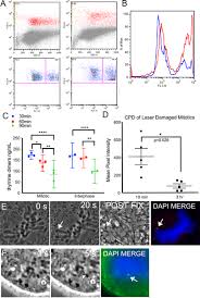 For each question, please record your answer, and what you typed into r to get this answer. Dna Damage Induced During Mitosis Undergoes Dna Repair Synthesis