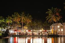 The Official Festival Launch presented by Olsson's Salt