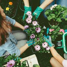 Im märz werden die weichen fürs gartenjahr gestellt. Fruhjahrsbluher Was Im Marz Gepflanzt Werden Sollte Tipps Und Tricks Fur Den Garten Wenden Sie Sich An Candy Wenn Sie Fragen Haben Informationen Benotigen Oder Neugierig Sind Candy