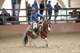 Le deuxième se rend également en champions league tandis que le troisième se voit dans l'obligation de passer. Ff Equitation On Twitter L Edition 2019 Du Generali Open De France S Est Achevee Samedi Soir Pres De 15 500 Cavaliers Etaient Venus Courir Leur Championnat De France D Equitation Poneys Et Clubs