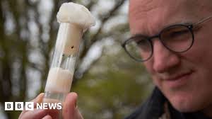 Tick attack: BBC hunts for tiny bloodsuckers as diseases rise