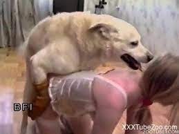 zoo-porno Animal porn videos