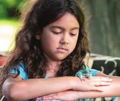 Invasive plant could spread more in lake