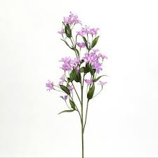 Paintings, photographs, abstracts, prints and more. Purple Jasmine Flower Drawing Novocom Top