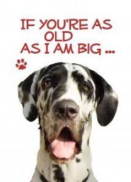 Pin On Dragonfire Graphics Greeting Cards At Greeting Card Universe