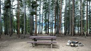 Maybe you would like to learn more about one of these? Molly Brown Campground Reviews Leadville Co Tripadvisor