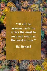 55 Best Fall Quotes About Autumn Top Sayings About Autumn
