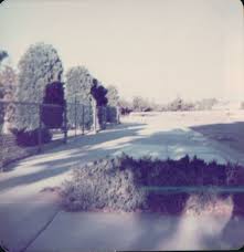 growing up in silicon valley there used to be orchards everywhere this one was at the end of my street off of stevens cre sound wall valley santa clara pinterest