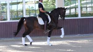 Jun 21, 2017 · the aesthetic elements can be standardized in the form of a visual brand language (vbl). The Most Beautiful Dressage Movement Youtube