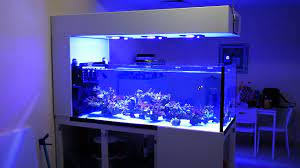 Heating, cooling, plumbing, fuel… trash and recycling, portable restrooms, construction services, and so much more. Peninsula Tank Update Youtube