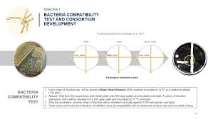 Download grad coach's comprehensive research proposal template for free. Universiti Malaya Um Master Research Proposal Defense Format Aaronn Avit